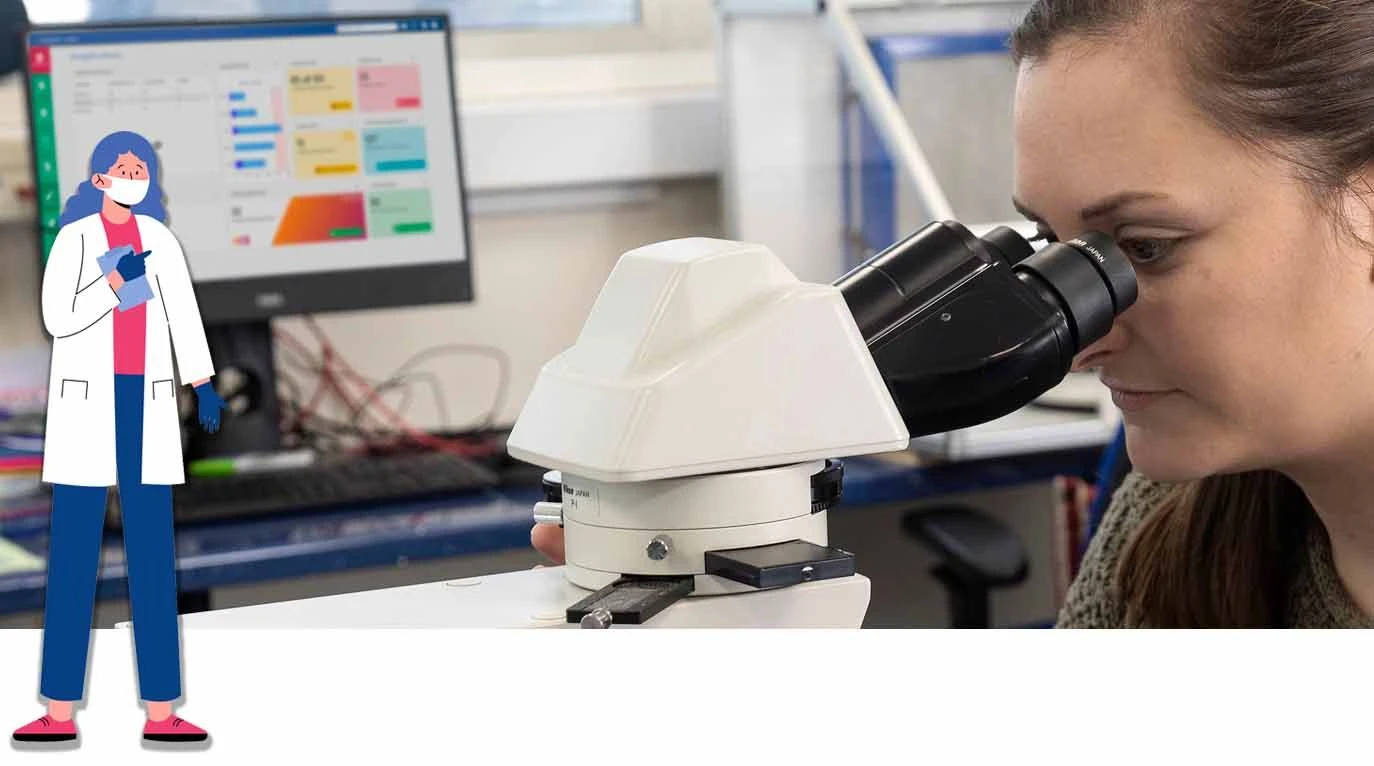 Asbestos surveying with TEAMS Software